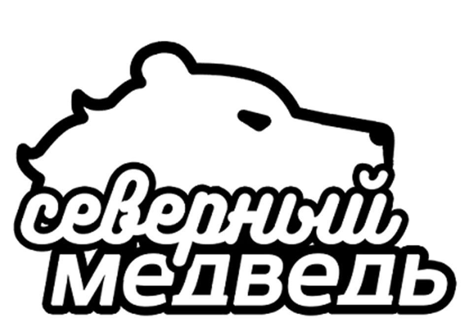 северный медведь