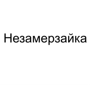 Незамерзайка
