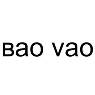 bao vao
