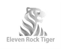 Eleven Rock Tiger