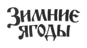 Зимние ягоды