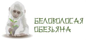 БЕЛОВОЛОСАЯ ОБЕЗЬЯНА