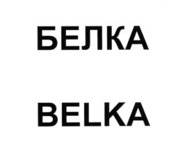 БЕЛКА BELKA