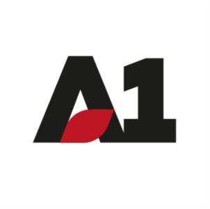 A1