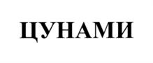 ЦУНАМИ
