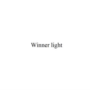 Winner light