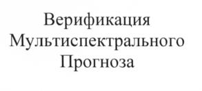 Верификация Мультиспектрального Прогноза