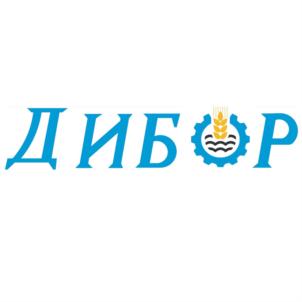 ДИБОР