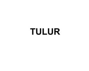 TULUR