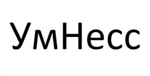 УмНесс
