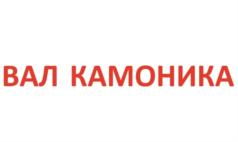 Товарный знак № 730317