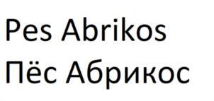 Pes Abrikos Пёс Абрикос