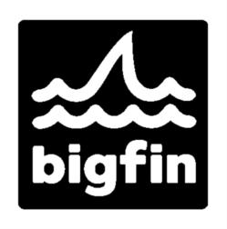 bigfin