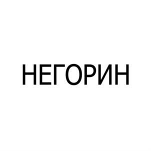 НЕГОРИН
