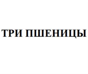 Товарный знак № 742281