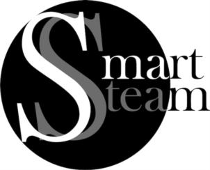 Smart team