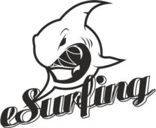 eSurfing