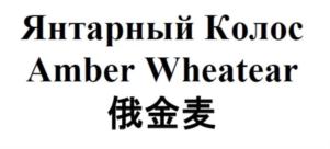 Янтарный Колос Amber Wheatear 俄金麦