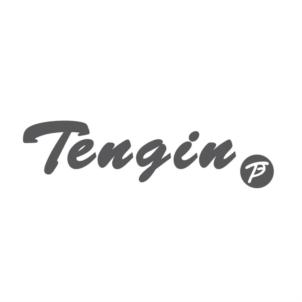 Tengin