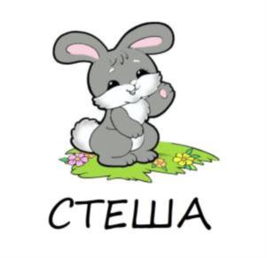 СТЕША