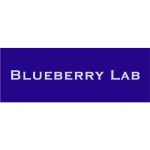 BLUEBERRY LAB