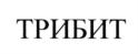 Трибит