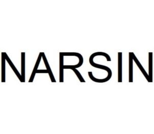 NARSIN