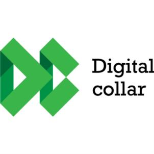 Digital collar