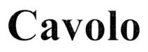 Cavolo