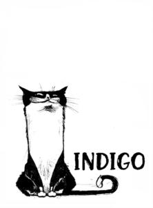 INDIGO