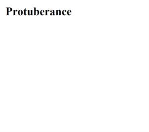 Protuberance