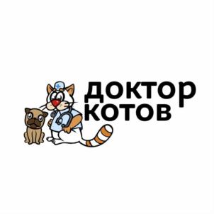 доктор котов