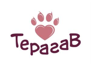 ТерагаВ