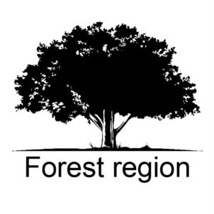 Forest region