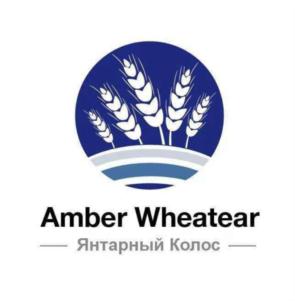 Amber Wheatear Янтарный Колос