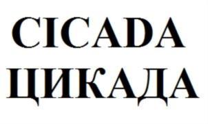 CICADA ЦИКАДА
