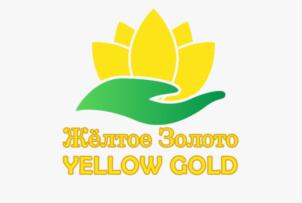 Жёлтое Золото YELLOW GOLD