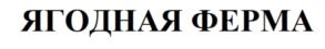 ЯГОДНАЯ ФЕРМА