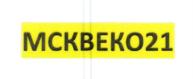 МСКВЕКО21