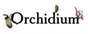 Orchidium