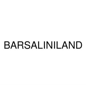 BAR SALINILAND