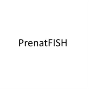 PrenatFISH