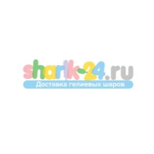 sharik-24.ru Доставка гелиевых шаров