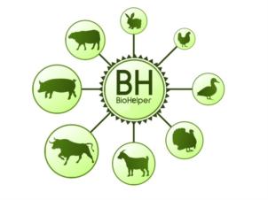BH BioHelper
