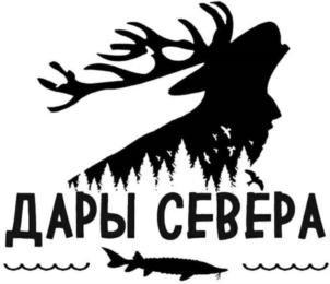 ДАРЫ СЕВЕРА