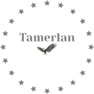 Tamerlan