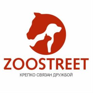 ZOOSTREET КРЕПКО СВЯЗАН ДРУЖБОЙ