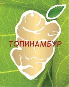 ТОПИНАМБУР