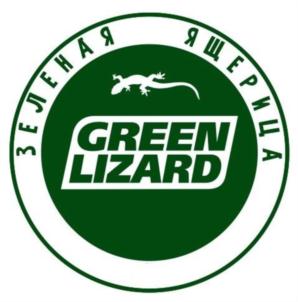 ЗЕЛЕНАЯ ЯЩЕРИЦА GREEN LIZARD