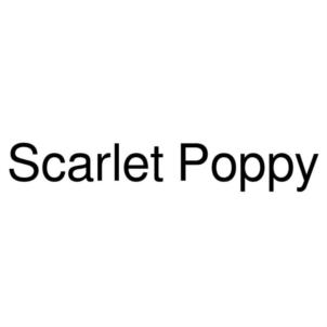 Scarlet Poppy